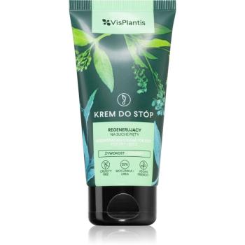 Vis Plantis Herbal Vital Care Comfrey & Urea regeneračný krém na chodidlá s hydratačným účinkom 75 ml