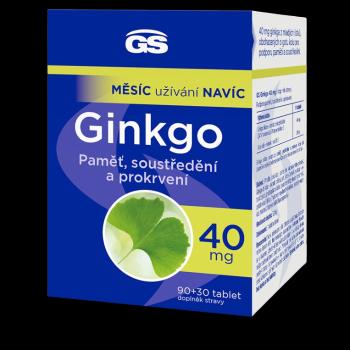 GS Ginkgo 40 mg 90 + 30 tabliet