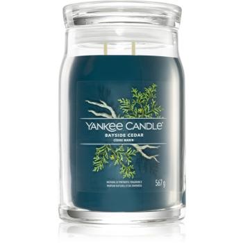 Yankee Candle Bayside Cedar vonná sviečka I. Signature 567 g