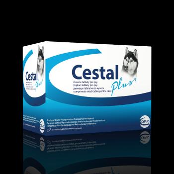 Cestal Plus žuvacie tablety pre psy, 200 tabliet