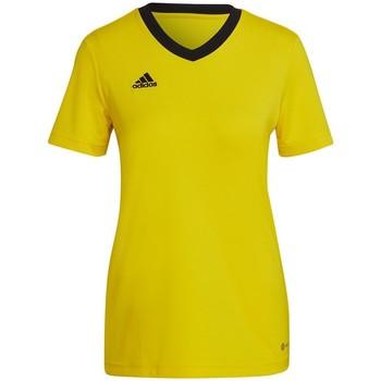 adidas  Tričká s krátkym rukávom Entrada 22  Žltá