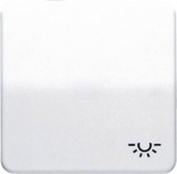 Jung 1-násobný kryt symbol "svetlo"  alpská biela CD590LWW