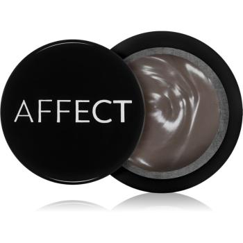 Affect Eyebrow Pomade Waterproof pomáda na obočie odtieň Dark 5 g