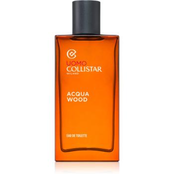 Collistar Uomo Acqua Wood toaletná voda pre mužov (brown) 100 ml