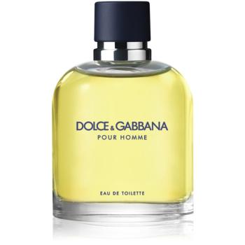 Dolce & Gabbana Pour Homme toaletná voda pre mužov 75 ml