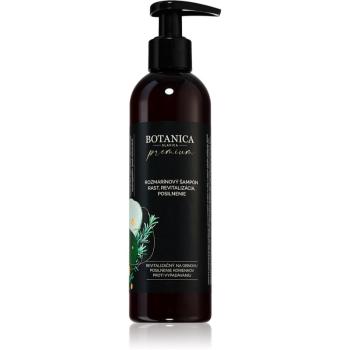 Soaphoria Botanica Slavica Rosemary intenzívny šampón pre rast vlasov a posilnenie od korienkov 250 ml