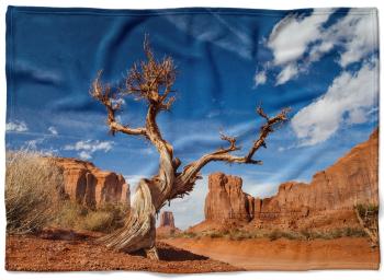 Deka Púšť (Rozmer: 200 x 140 cm, Podšitie baránkom: NE)