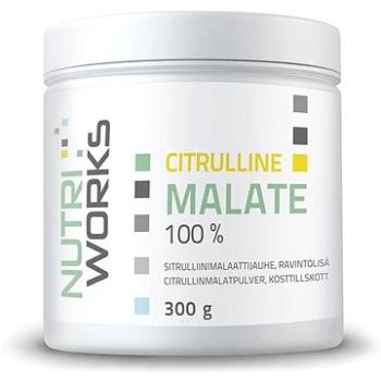 NutriWorks Citruline Malate 300 g (6430057980545)