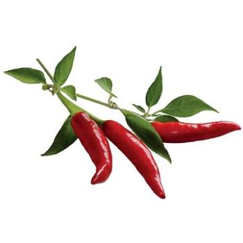 Click And Grow Chili Pepper (CNG R3P CHP)