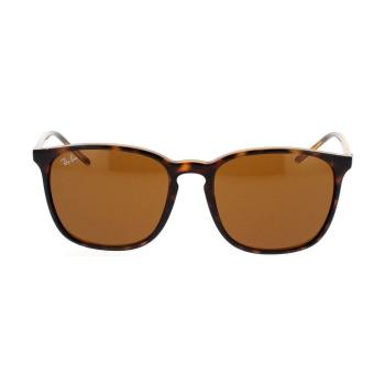 Ray-ban  Occhiali da Sole  RB4387 710/73  Slnečné okuliare Hnedá