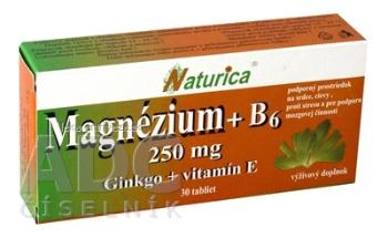 Naturica MAGNEZIUM 250 mg+B6+Ginkgo+vitamín E tbl 1x30 ks