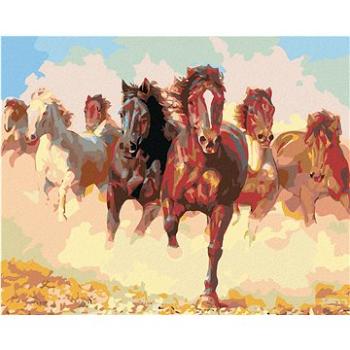 Maľovanie podľa čísel – Stádo koní (HRAmal00111nad)