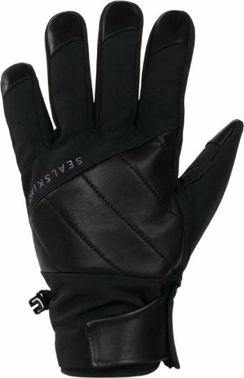 Sealskinz Waterproof Extreme Cold Weather Insulated Glove With Fusion Control Black M