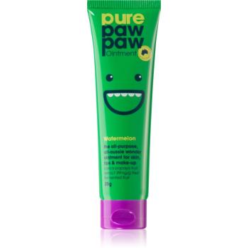 Pure Paw Paw Watermelon balzam na pery a suché miesta 25 g