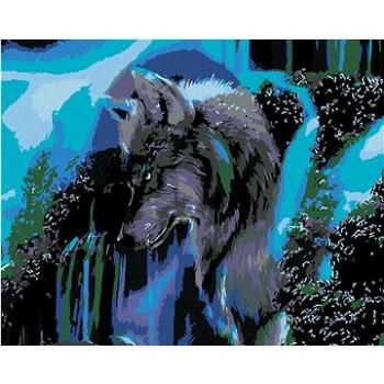 Maľovanie podľa čísel – Profil vlka (HRAmal00088nad)