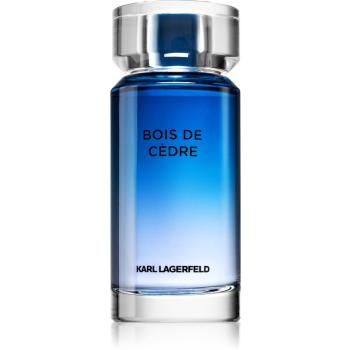 Karl Lagerfeld Bois De Cèdre toaletná voda pre mužov 100 ml