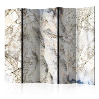 Paraván Marble Mystery Dekorhome 225x172 cm (5-dielny)