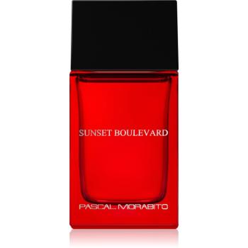 Pascal Morabito Sunset Boulevard toaletná voda pre mužov 100 ml