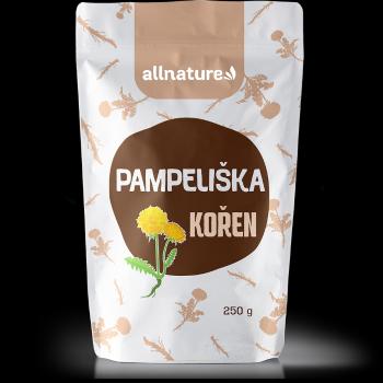 ALLNATURE Púpava koreň 250 g