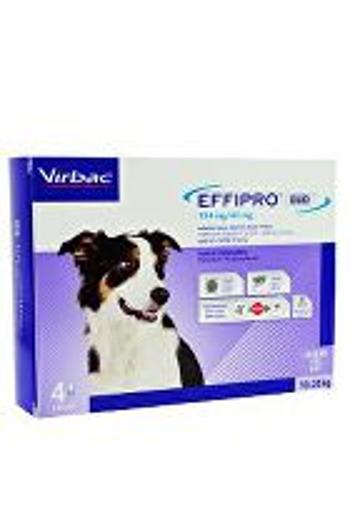Effipro DUO Dog M (10-20 kg) 134/40 mg, 4x1,34 ml VÝPREDAJ