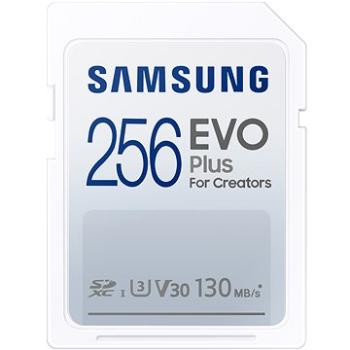 Samsung SDXC 256 GB EVO PLUS (MB-SC256K/EU)