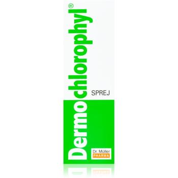 Dr. Müller DermoChlorophyl® sprej urýchľujúci hojenie 50 ml