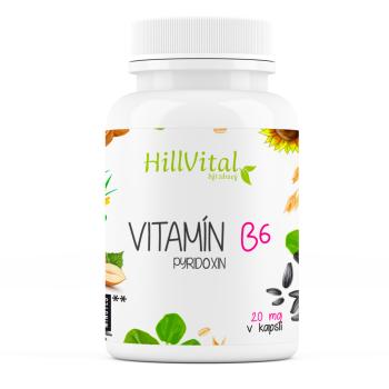 HillVital | Vitamín B6 100 kapsúl