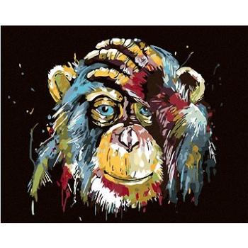 Maľovanie podľa čísel – Opica (HRAmal00046nad)