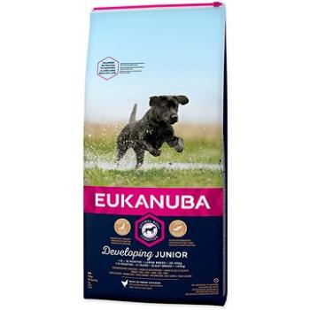 Eukanuba Junior Large 15 kg (8710255146058)