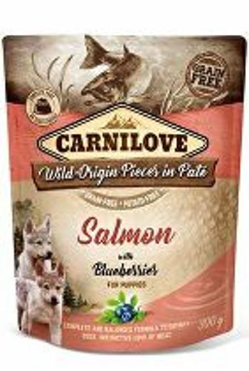 Carnilove Dog Pouch Paté Salmon & Blueber Puppies 300g + Množstevná zľava
