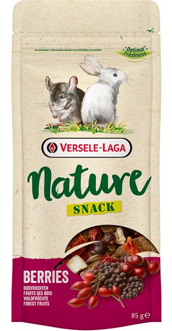 Maškrta Versele Laga Nature Snack pre hlodavce - lesné plody 85g