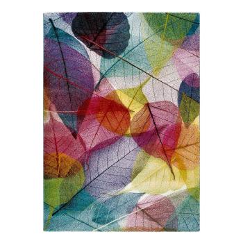 Koberec Universal Colors Multi, 160 × 230 cm