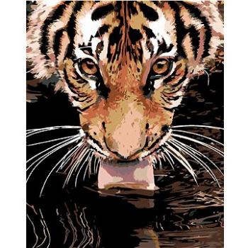 Maľovanie podľa čísel – Tiger pri vode (HRAmal00143nad)