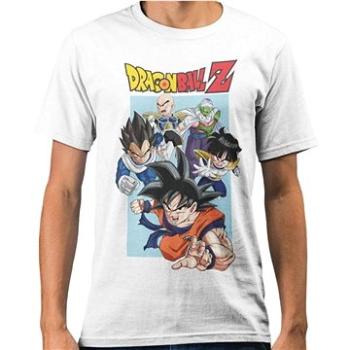 Dragon Ball Z – Group – tričko S (5056438901308)