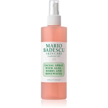 Mario Badescu Facial Spray with Aloe, Herbs and Rosewater tonizačná pleťová hmla pre rozjasnenie a hydratáciu 236 ml