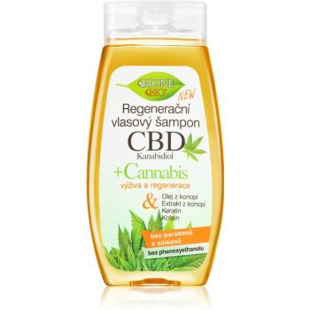 Bione Cosmetics Cannabis CBD regeneračný šampón s CBD 260 ml