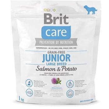 Brit Care grain-free junior large breed salmon & potato 1 kg (8595602510115)