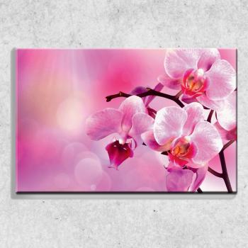 Foto na plátne Orchidea 90x60 cm