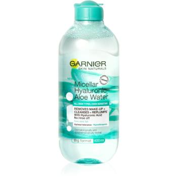 Garnier Skin Naturals Micellar Hyaluronic Aloe Water micelárna voda 400 ml