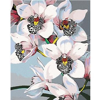 Maľovanie podľa čísel – Nádherné orchidey (HRAmal01156nad)