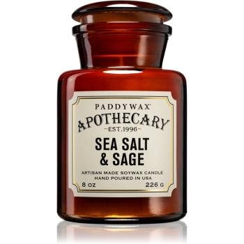 Paddywax Apothecary Sea Salt & Sage vonná sviečka 226 g