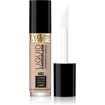 Eveline Cosmetics Liquid Camouflage korektor s vysokým krytím pre dlhotrvajúci efekt odtieň 01A Light Beige 5 ml