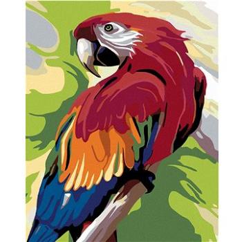 Maľovanie podľa čísel – Farebný papagáj (HRAmal00644nad)