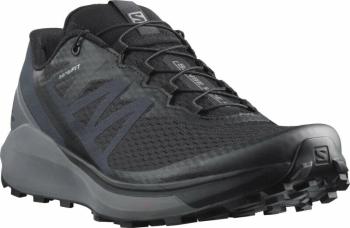 Salomon Sense Ride 4 Black/Quiet Shade/Ebony 42