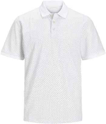 Jack&Jones PLUS Pánske polo tričko JJLUIS Standard Fit 12254901 White 3XL