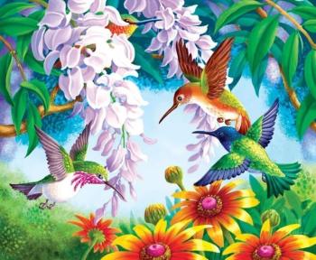 Gaira Maľovanie podľa čísiel Kolibríky