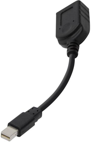 club3D CAC-1110 DisplayPort adaptér [1x mini DisplayPort zástrčka - 1x zásuvka DisplayPort] čierna  20.00 cm