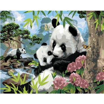 Maľovanie podľa čísel – Pandy a divoká príroda (Howard Robinson) (HRAbz33480nad)