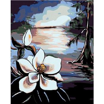 Maľovanie podľa čísel – Krásna kvetina a starý strom pri jazere (HRAmal00963nad)