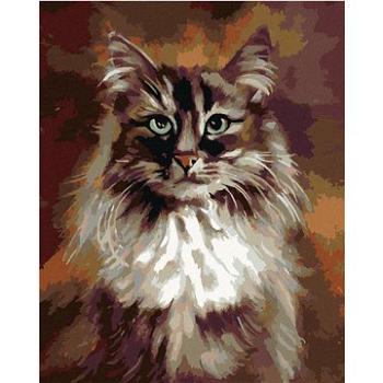 Maľovanie podľa čísel – Mačka na hnedom pozadí (HRAbz33237nad)